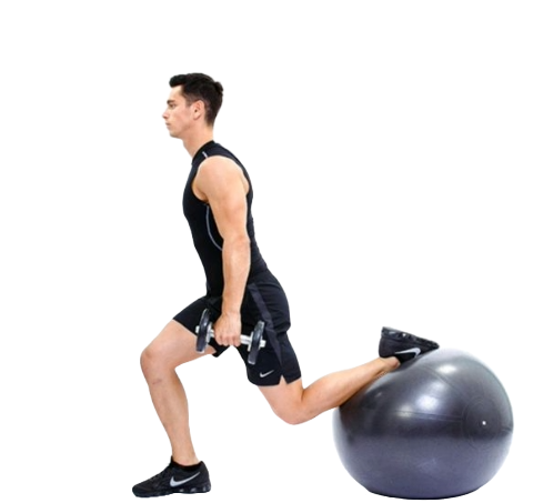 stability-ball-split-squat